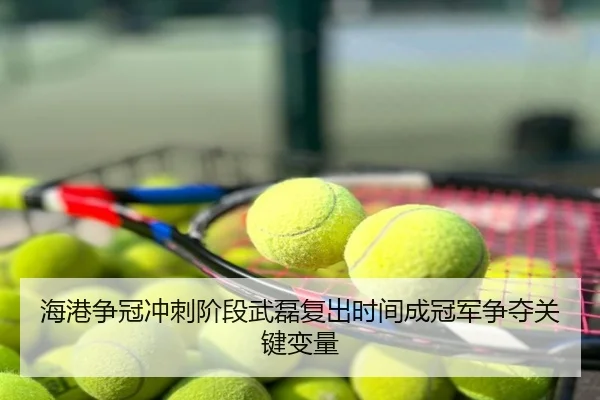 海港争冠冲刺阶段武磊复出时间成冠军争夺关键变量